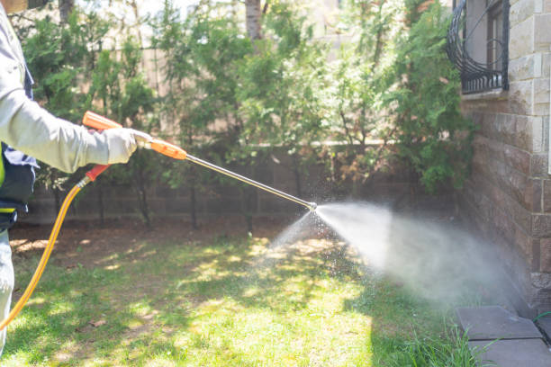 Best Termite Control Services  in Santa Ana, CA