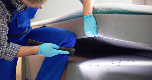 Best Residential Pest Control  in Santa Ana, CA
